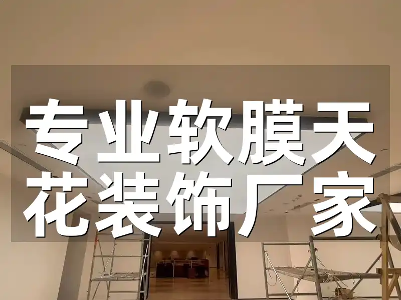 专业软膜天花装饰厂家