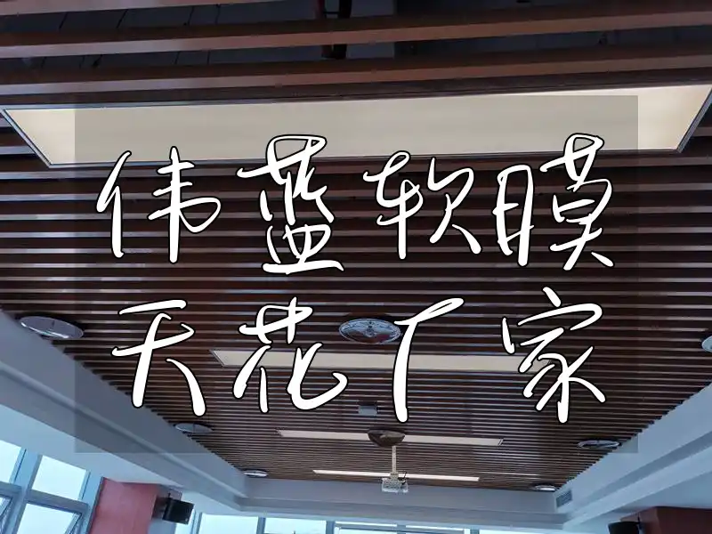 伟蓝软膜天花厂家