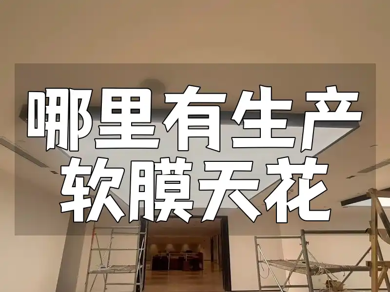 哪里有生产软膜天花