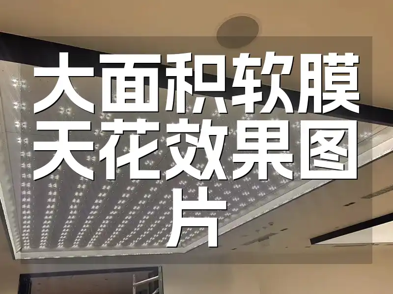 大面积软膜天花效果图片