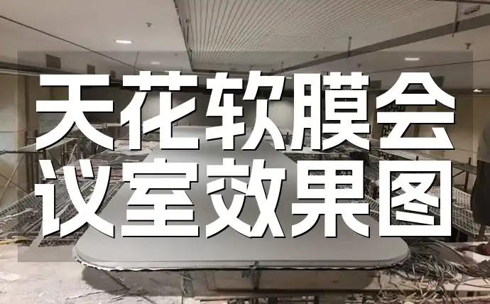 借鉴创意打造专业会议场所：天花软膜会议室效果图展示