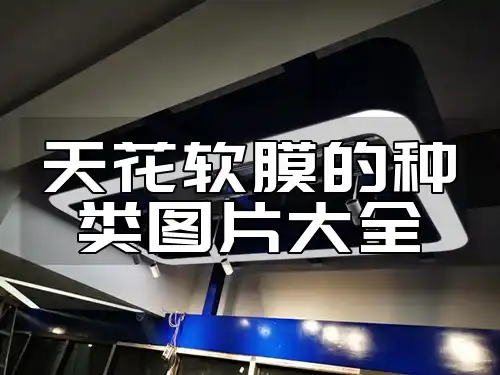 天花软膜的种类图片大全