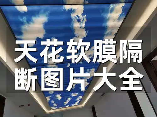 天花软膜隔断图片大全 天花软膜隔断设计效果图大全-引领装修新风尚，满足多样化需求