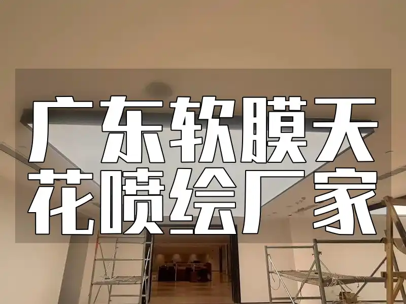 广东软膜天花喷绘厂家-专业高效定制方案,【优选】实力专家