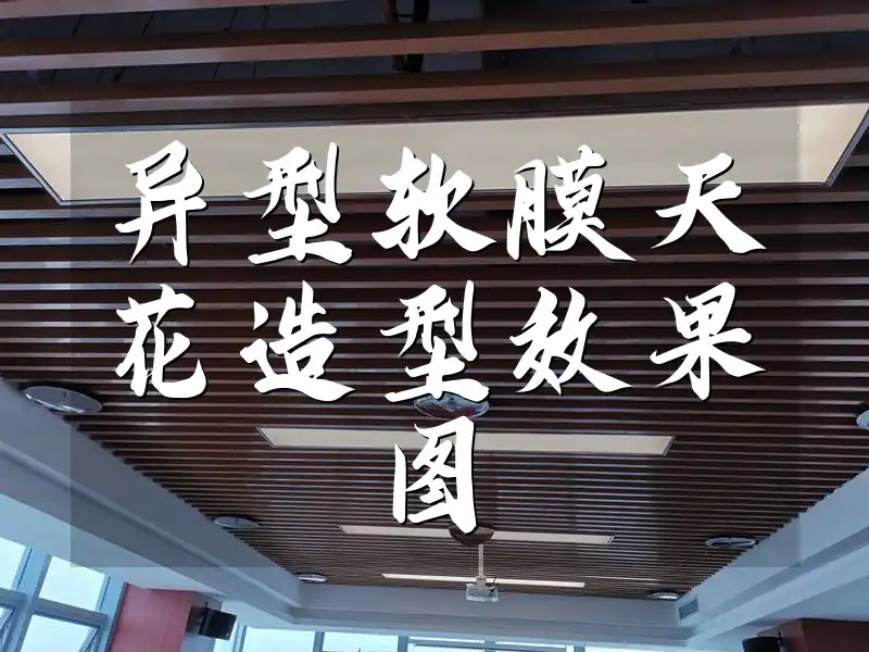 异型软膜天花造型效果图