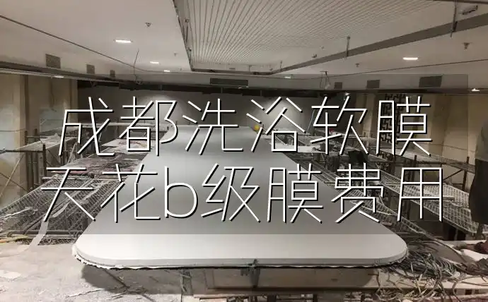 成都洗浴软膜天花b级膜费用 成都洗浴软膜天花B级膜安装费用透明，精选推荐速递