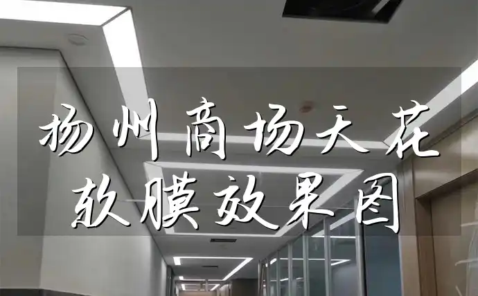 扬州商场天花软膜效果图