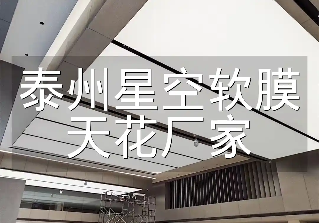 泰州星空软膜天花厂家 泰州专业星空软膜天花厂家直销-打造梦幻空间,技术领先,限时优惠