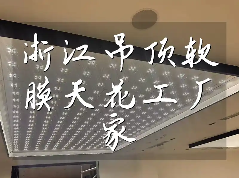 浙江吊顶软膜天花工厂家