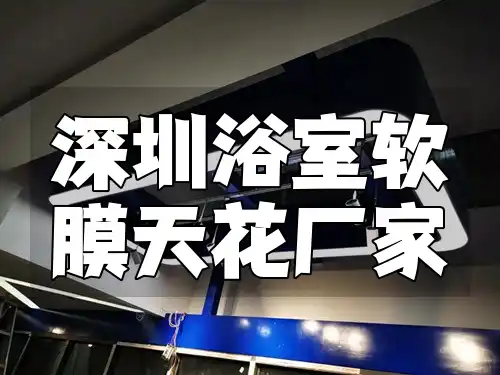 深圳浴室软膜天花厂家