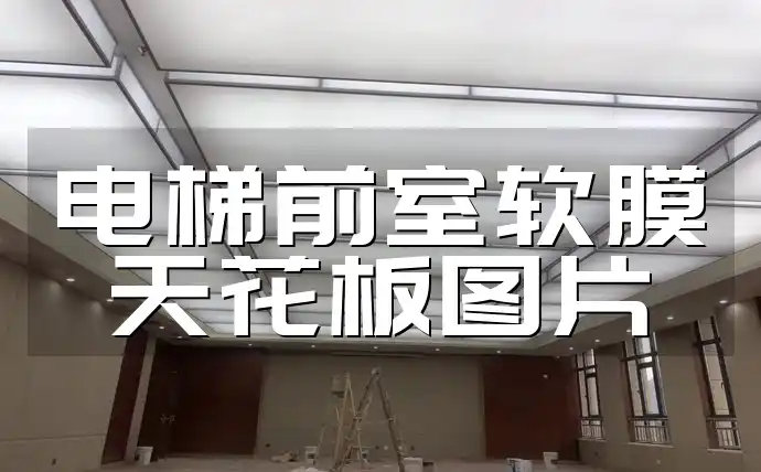 电梯前室软膜天花板图片