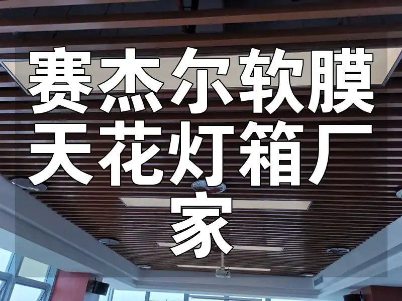 赛杰尔软膜天花灯箱厂家 【源头厂家】赛杰尔软膜天花灯箱，一站式服务，满足您的个性化需求！