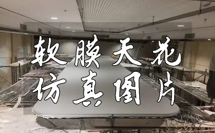 软膜天花仿真图片