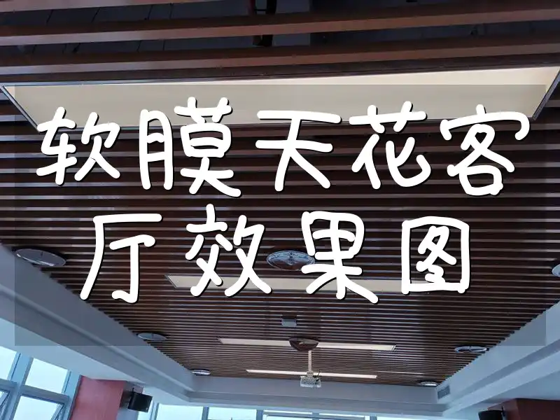 软膜天花客厅效果图