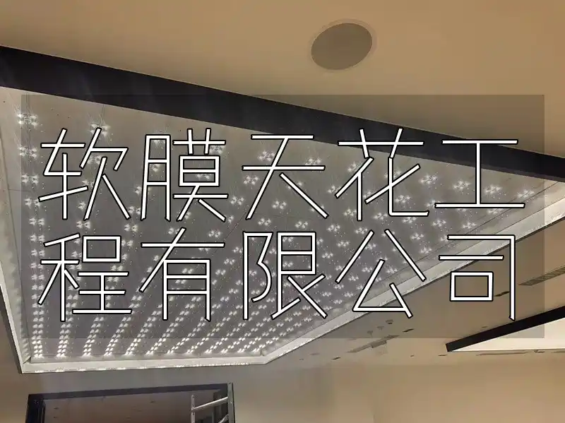 软膜天花工程有限公司-个性化需求专家,高效施工&一站式服务,最新新品发布