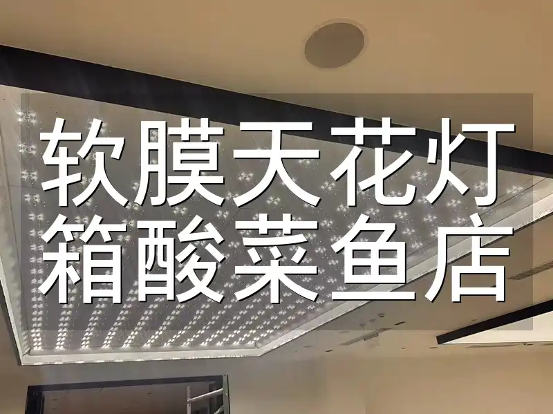 软膜天花灯箱酸菜鱼店 软膜天花灯箱在酸菜鱼店的应用：提升体验与优势解析