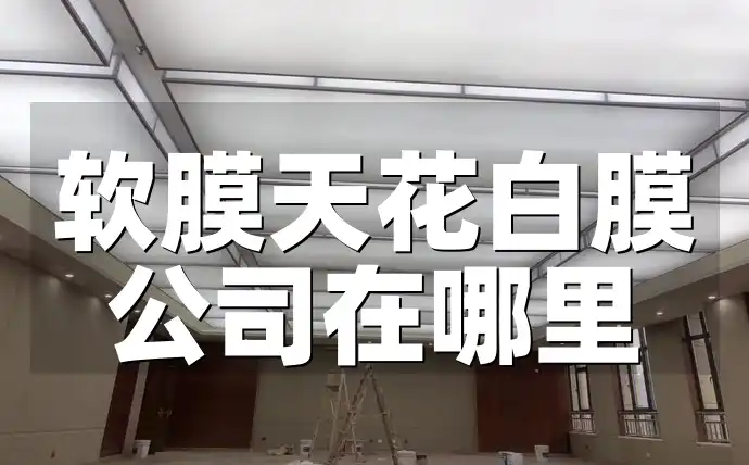软膜天花白膜公司在哪里