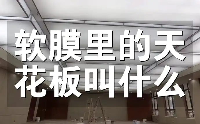 软膜里的天花板叫什么