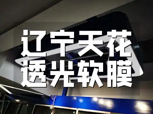 辽宁天花透光软膜 高效透光！辽宁专供天花透光软膜打造明亮柔和室内空间