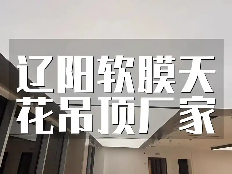 辽阳软膜天花吊顶厂家直销，价格实惠多种风格满足个性需求
