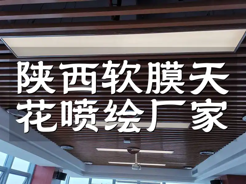 陕西软膜天花喷绘厂家 陕西技术领先软膜天花喷绘厂家-省心省力时尚设计